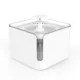Pet water foundatin
