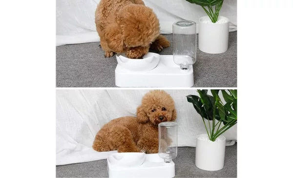 Pet Feeder