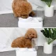 Pet Feeder