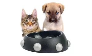 Pet feeding bowl