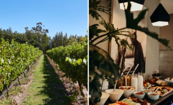 Romantic 2-Night Getaway in Franschhoek - Image 11