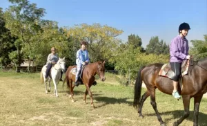 horse riding outride in Fairways