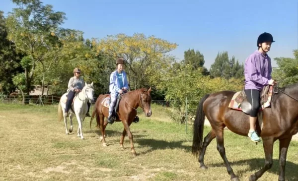 horse riding outride in Fairways