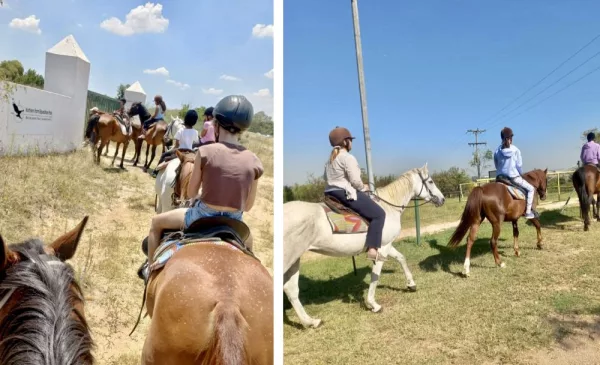 Horse riding in Fairways
