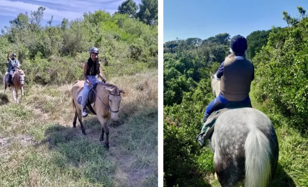 1-hour horse riding experience for 2 in Gqeberha - Image 4