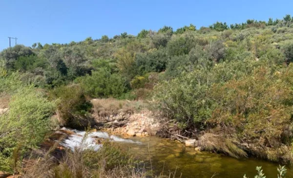 A 2-Night Camping Escape for 6 People in Breathtaking Natural Surroundings - Image 2