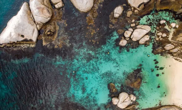 Immersive snorkelling experience in Simons Town - Image 7