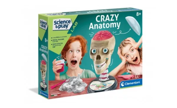 A Fun Way To Learn About The Human Body