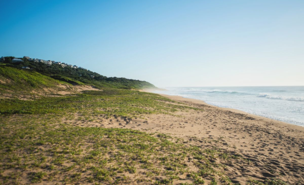 Experience Luxury Along the North Coast with a 1-Night Stay at Prince's Grant - Image 12
