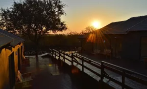 A Luxury Safari Stay in Marloth Park