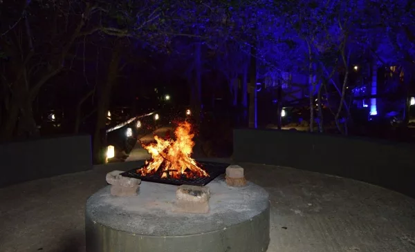 Experience the Tranquility of the Wilderness with a Luxury Safari Stay in Marloth Park - Image 21