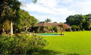1-night family stay