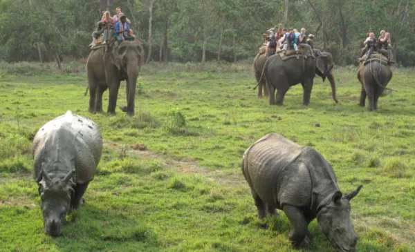 An 8-day tour of Nepal - Image 6