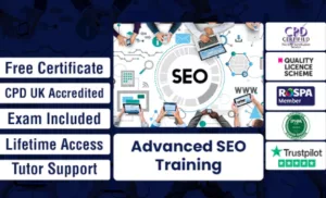SEO training