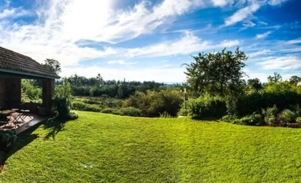 Family getaway near the Addo Elephant Park - Image 6