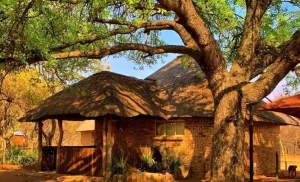 A 1-Night Self-Catering Bush Lodge Stay in Brits