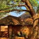 A 1-Night Self-Catering Bush Lodge Stay in Brits