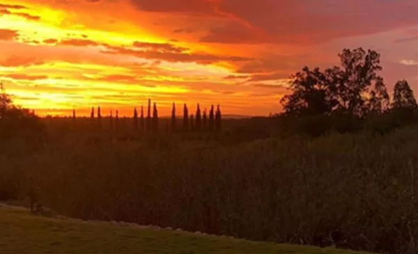 Family getaway near the Addo Elephant Park - Image 3