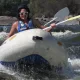 2 - 3 Hours of Guided River Rafting for 1 in Parys