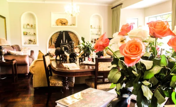 Romantic couple's getaway in Addo - Image 5
