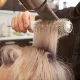 A Brazilian Blowout in Umhlanga Ridge