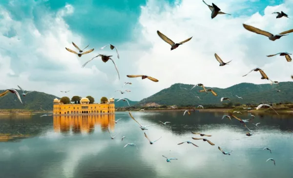 7-day Northern India Tour - Image 7