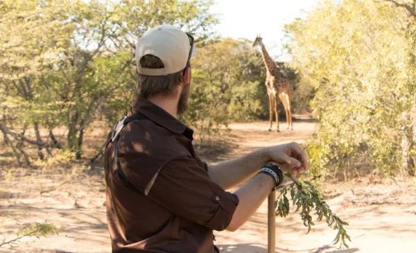 2-night African bushveld stay for 2 in Hoedspruit - Image 10