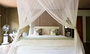 2-night African bushveld stay for 2 in Hoedspruit