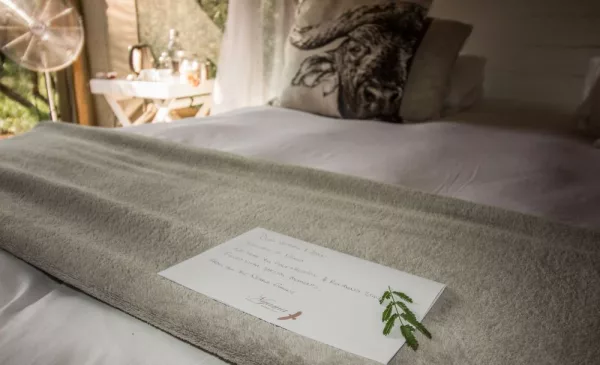 2-night African bushveld stay for 2 in Hoedspruit - Image 6