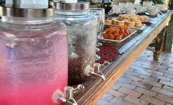 A Gin & Rum Tasting with a Sunday Buffet Lunch for 2 at the Oude Wellington Estate - Image 4
