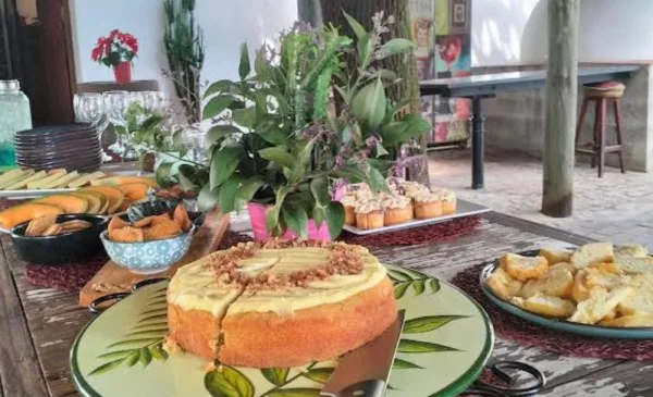 A Gin & Rum Tasting with a Sunday Buffet Lunch for 2 at the Oude Wellington Estate - Image 2