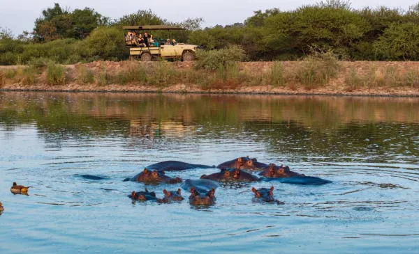 A Romantic 1-Night Winter Stay at a Bush Lodge in Brits