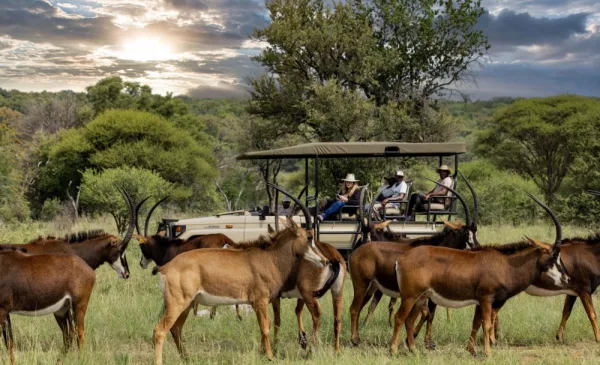 A Romantic 2-Night Stay at an Award-Winning Game Reserve - Image 5
