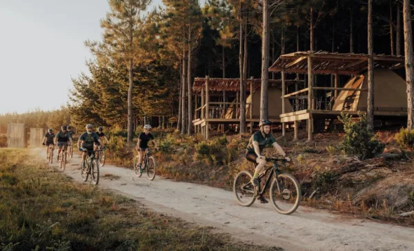 4-day Tsitsikamma guided mountain biking tour for 1 - Image 6