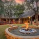 Safari Getaway