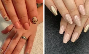 gel overlay