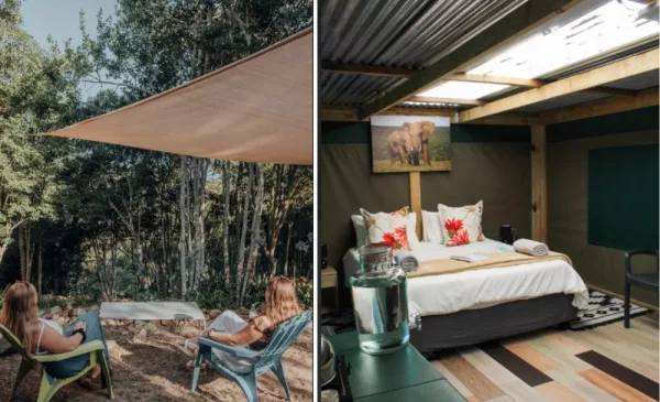 2-night stay for 2 in the Jewel of the Garden Route - Image 2