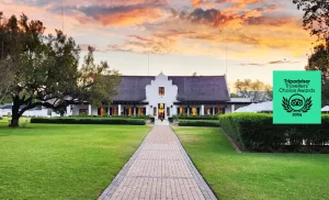Kievits Kroon