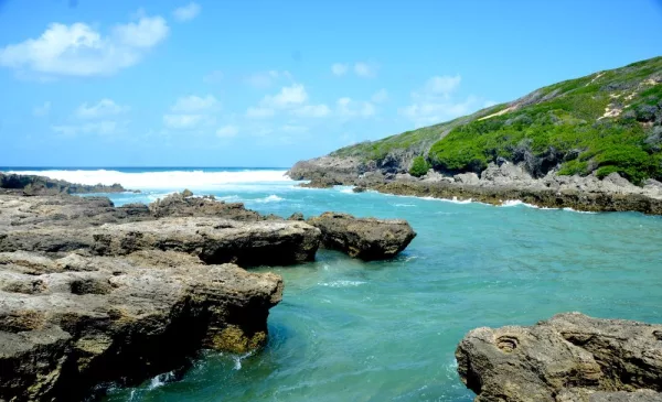 Set Sail on the MSC Musica for a 4-Night Roundtrip Cruise - Image 2