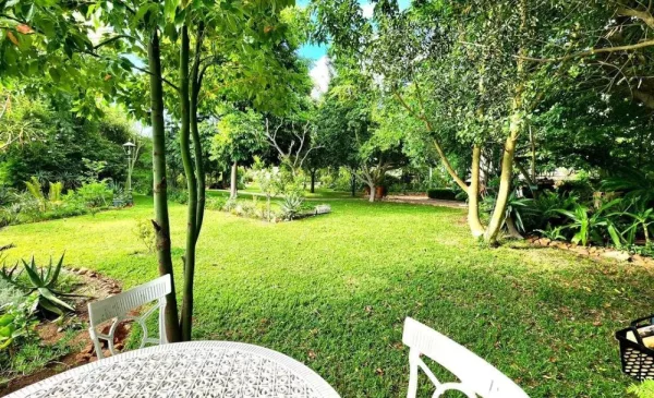 Experience Countryside Luxury with a 1-Night Stay in the Cape Winelands - Image 5