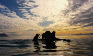 scuba diving Cape Town