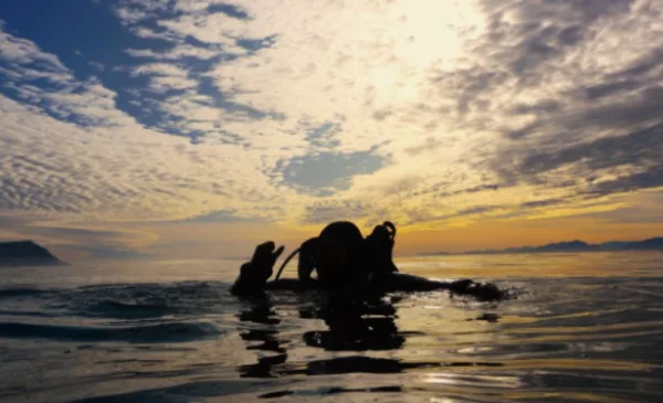 scuba diving Cape Town
