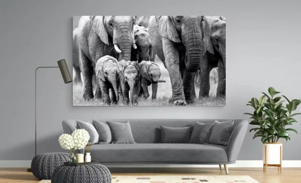 Decorate Your Space with an A2 Framed Stretch Canvas