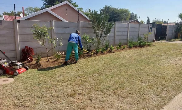 Let the Experts Take Care of Your Gardening with a Service for up to 30 Square Meters - Image 2
