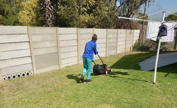 Let the Experts Take Care of Your Gardening with a Service for up to 30 Square Meters - Image 3