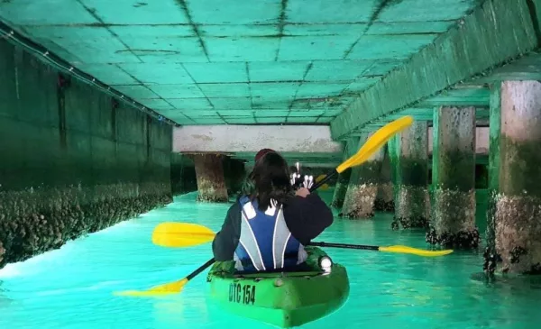 A Kayaking Experience for 1 in Hout Bay