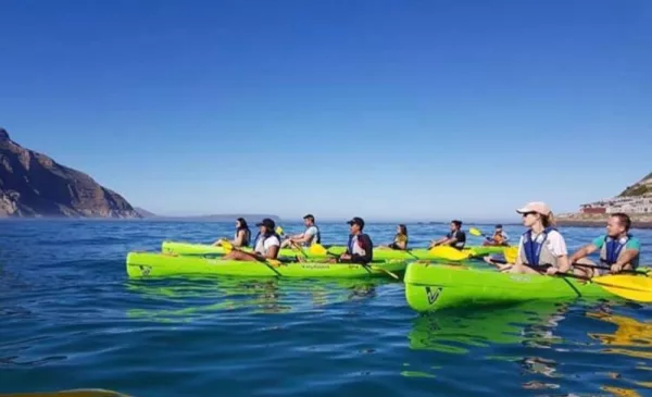 Kayaking in Hout Bay for 2 - Image 2