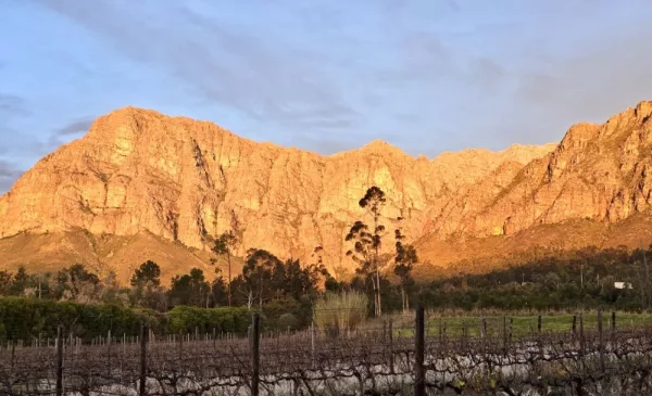 A 2-Course Meal Enjoyed with Good Wine and a Wine Tasting - Image 3