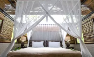 1-night bush getaway