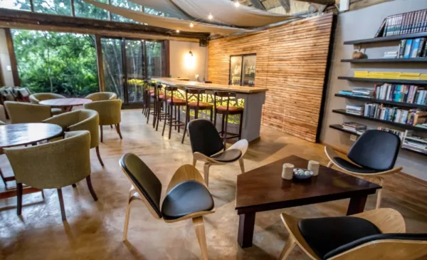 Escape into the Tembe Elephant Park with a 1-night bush getaway for up to 4 people - Image 2